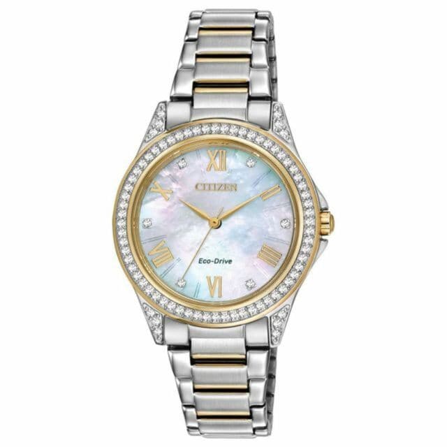 Lady's Citizen Eco Drive Watch – Michaels Jewelers